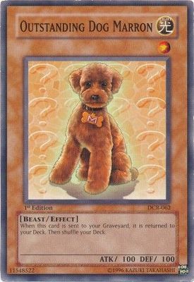 Outstanding Dog Marron - DCR-062 - Common 1st Edition Dark Crisis [DCR] 1st Edition Singles