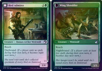Bird Admirer | Wing Shredder 169/277 - Foil Innistrad: Midnight Hunt Foil Singles