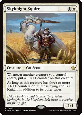 GA Skyknight Squire - Foundations (FDN) Foundations