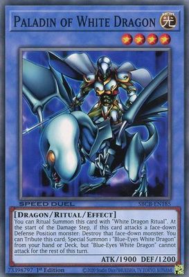 Paladin of White Dragon - SBCB-EN185 - Common 1st Edition Speed Duel Battle City Box 1st Edition Singles