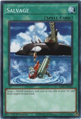 Salvage - SDFC-EN032 - Common 1st Edition Freezing Chains 1st Edition Singles