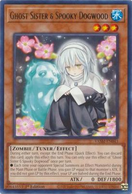 Ghost Sister &amp; Spooky Dogwood - VASM-EN043 - Rare 1st Edition Valiant Smashers 1st Edition Singles