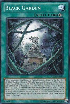 Black Garden - AP04-EN025 - Common Astral Pack 4 AP04