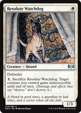 Resolute Watchdog 019/259 Ravnica Allegiance Singles (espanol)