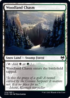 Woodland Chasm 274/285 - Kaldheim Singles