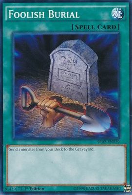Foolish Burial - SR02-EN029 - Common 1st Edition Structure Deck: Rise of the True Dragons 1st Edition Singles