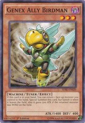Genex Ally Birdman - SDSE-EN020 - Common 1st Edition Structure Deck: Synchron Extreme 1st Edition Singles