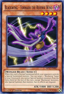 Blackwing - Tornado the Reverse Wind - MP17-EN067 - Common 1st Edition 2017 Mega-Tins 1st Edition Singles