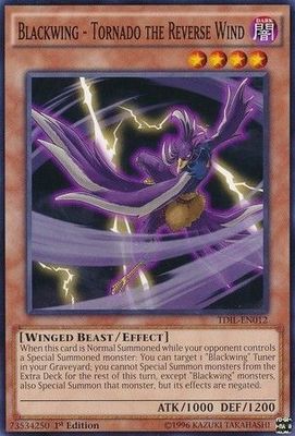 Blackwing - Tornado the Reverse Wind - TDIL-EN012 - Common 1st Edition The Dark Illusion 1st Edition Singles