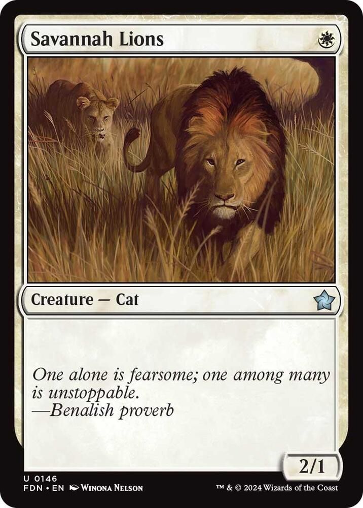 Savannah Lions - Foundations  Foundations
