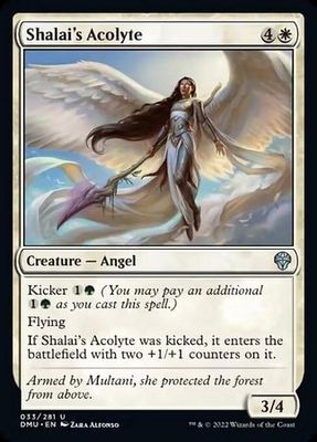 Shalai&#39;s Acolyte 033/281 Dominaria United Singles