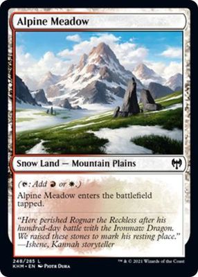 Alpine Meadow 248/285 Kaldheim Singles