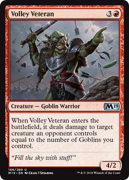 Volley Veteran 168/280 Magic 2019 (M19) Singles