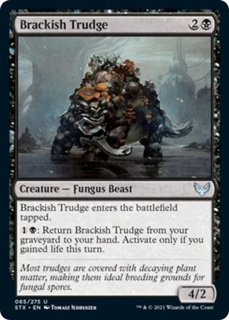 Brackish Trudge 065/275 Strixhaven: School of Mages Singles