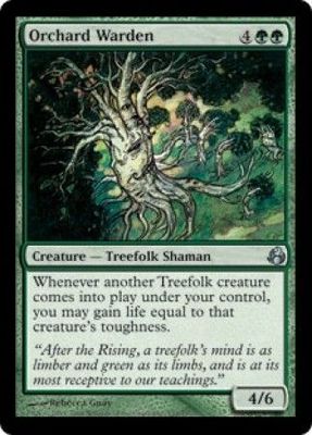 Orchard Warden Morningtide Singles
