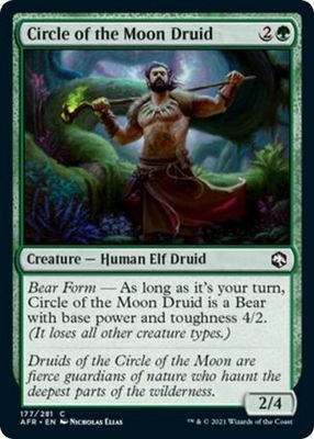 Circle of the Moon Druid 177/281 Adventures in the Forgotten Realms Singles