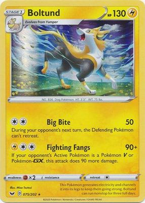 Boltund - 075/202 - Holo Rare Sword &amp; Shield (Base Set) Singles