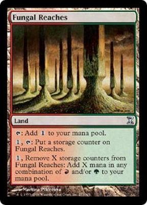 Fungal Reaches Time Spiral Singles (Español)
