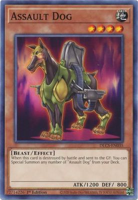 Assault Dog - DLCS-EN035 - Common 1st Edition Dragons of Legend The Complete Series 1st Edition Singles