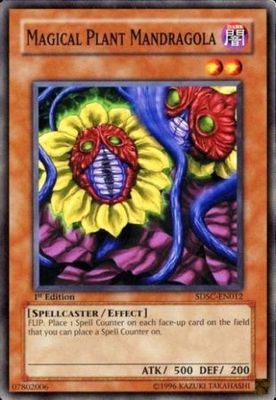 Magical Plant Mandragola - SDSC-EN012 - Common 1st Edition Structure Deck: Spellcaster&#39;s Command 1st Edition Singles