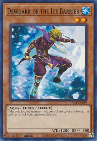Dewdark of the Ice Barrier - HAC1-EN039 - Common 1st Edition Hidden Arsenal: Chapter 1 1st Edition Singles