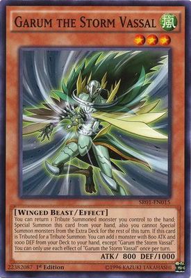 Garum the Storm Vassal - SR01-EN015 - Common 1st Edition Structure Deck: Emperor of Darkness 1st Edition Singles