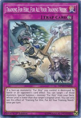 Training Fur Hire, Fur All Your Training Needs - MP19-EN256 - Common 1st Edition Yu-Gi-Oh! 2019 Mega-Tins: Gold Sarcophagus Tin Mega Pack Singles