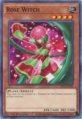 Rose Witch - LDS2-EN100 - Common 1st Edition Legendary Duelists: Season 2 [LDS2] 1st Edition Singles