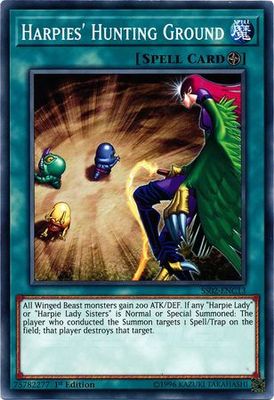 Harpies&#39; Hunting Ground - SS02-ENC13 - Common 1st Edition Speed Duel Starter Decks: Duelists of Tomorrow Singles