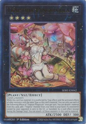 Traptrix Pinguicula - SDBT-EN042 - Ultra Rare 1st Edition Beware of Traptrix 1st Edition Singles