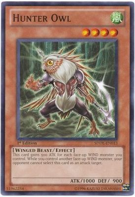 Hunter Owl - SDDL-EN013 - Common 1st Edition Structure Deck: Dragunity Legion [SDDL] 1st Edition Singles