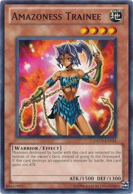 Amazoness Trainee - DREV-EN031 - Common Unlimited Duelist Revolution Unlimited Singles