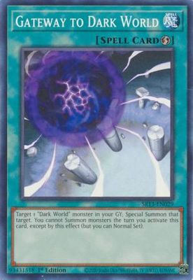 Gateway to Dark World - SR13-EN029 - Common 1st Edition Structure Deck: Dark World [SR13] 1st Edition Singles (espanol)