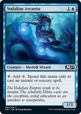 Vodalian Arcanist 083/274 - Magic 2021 (M21) Singles (Español)