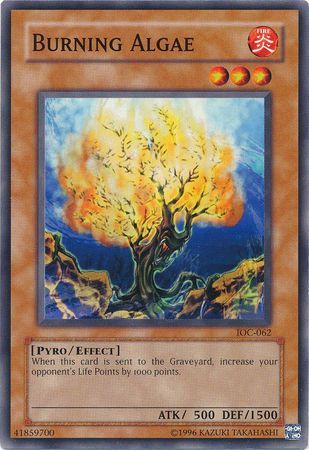 Burning Algae - IOC-062 - Common Unlimited Invasion of Chaos [IOC] Unlimited Singles