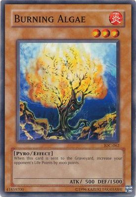 Burning Algae - IOC-062 - Common Unlimited Invasion of Chaos [IOC] Unlimited Singles