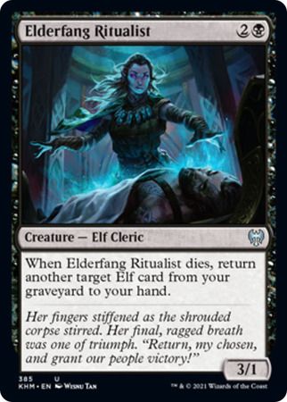 Elderfang Ritualist 385 - Theme Booster Kaldheim Collector Booster Singles