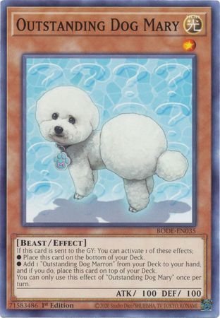 Outstanding Dog Mary - BODE-EN035 - Common 1st Edition Burst of Destiny 1st Edition Singles (espanol)