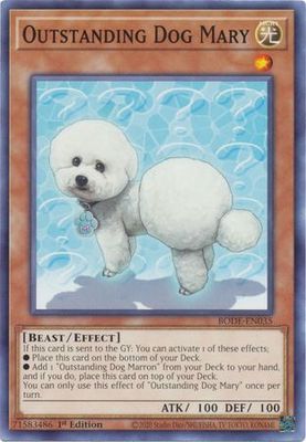 Outstanding Dog Mary - BODE-EN035 - Common 1st Edition Burst of Destiny 1st Edition Singles (espanol)
