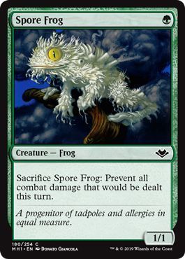 Spore Frog 180/254 Modern Horizons Singles