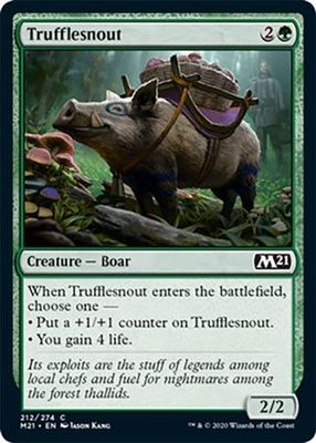 Trufflesnout 212/274 Magic 2021 (M21) Singles (Español)
