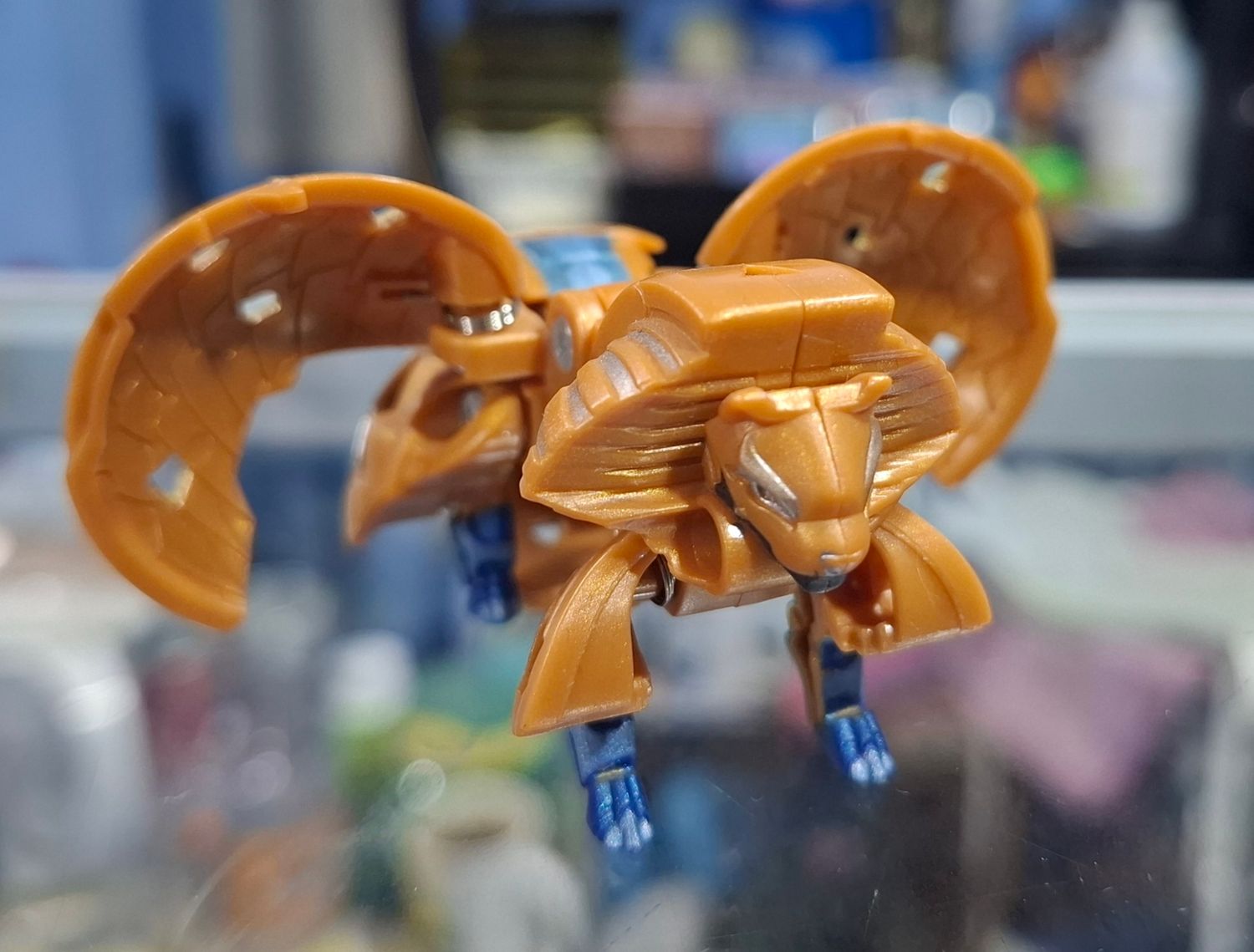 SH1 Bakugan Cafe Leon