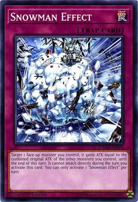 Snowman Effect - DANE-EN079 - Common 1st Edition Dark Neostorm 1st Edition Singles
