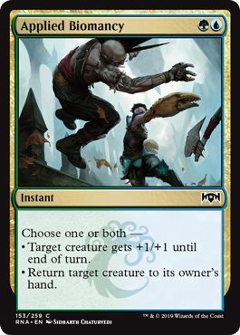 Applied Biomancy 153/259 Ravnica Allegiance Singles(Español)