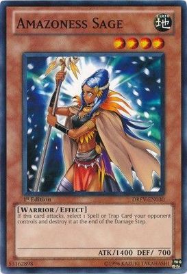 Amazoness Sage - DREV-EN030 - Common 1st Edition Duelist Revolution 1st Edition Singles