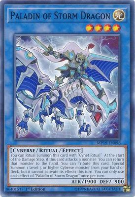 Paladin of Storm Dragon - MP19-EN096 - Common 1st Edition Yu-Gi-Oh! 2019 Mega-Tins: Gold Sarcophagus Tin Mega Pack Singles