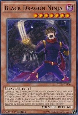 Black Dragon Ninja - TDIL-EN036 - Common 1st Edition The Dark Illusion 1st Edition Singles