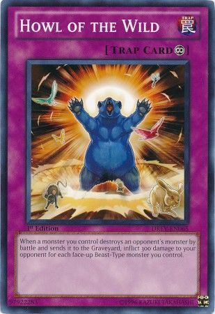 Howl of the Wild - DREV-EN065 - Common 1st Edition Duelist Revolution 1st Edition Singles (espanol)