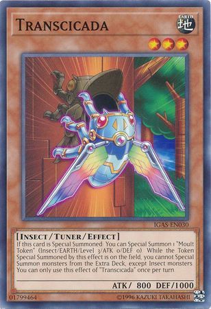 Transcicada - IGAS-EN030 - Common Unlimited Ignition Assault Unlimited Singles (espanol)