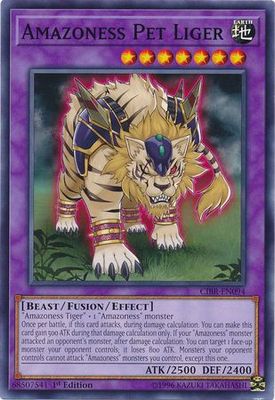 Amazoness Pet Liger - CIBR-EN094 - Common 1st Edition Circuit Break 1st Edition Singles (espanol)
